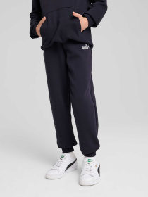 Штаны спортивные PUMA Ess No. 1 Logo Sweatpants Tr модель 684914 Фото