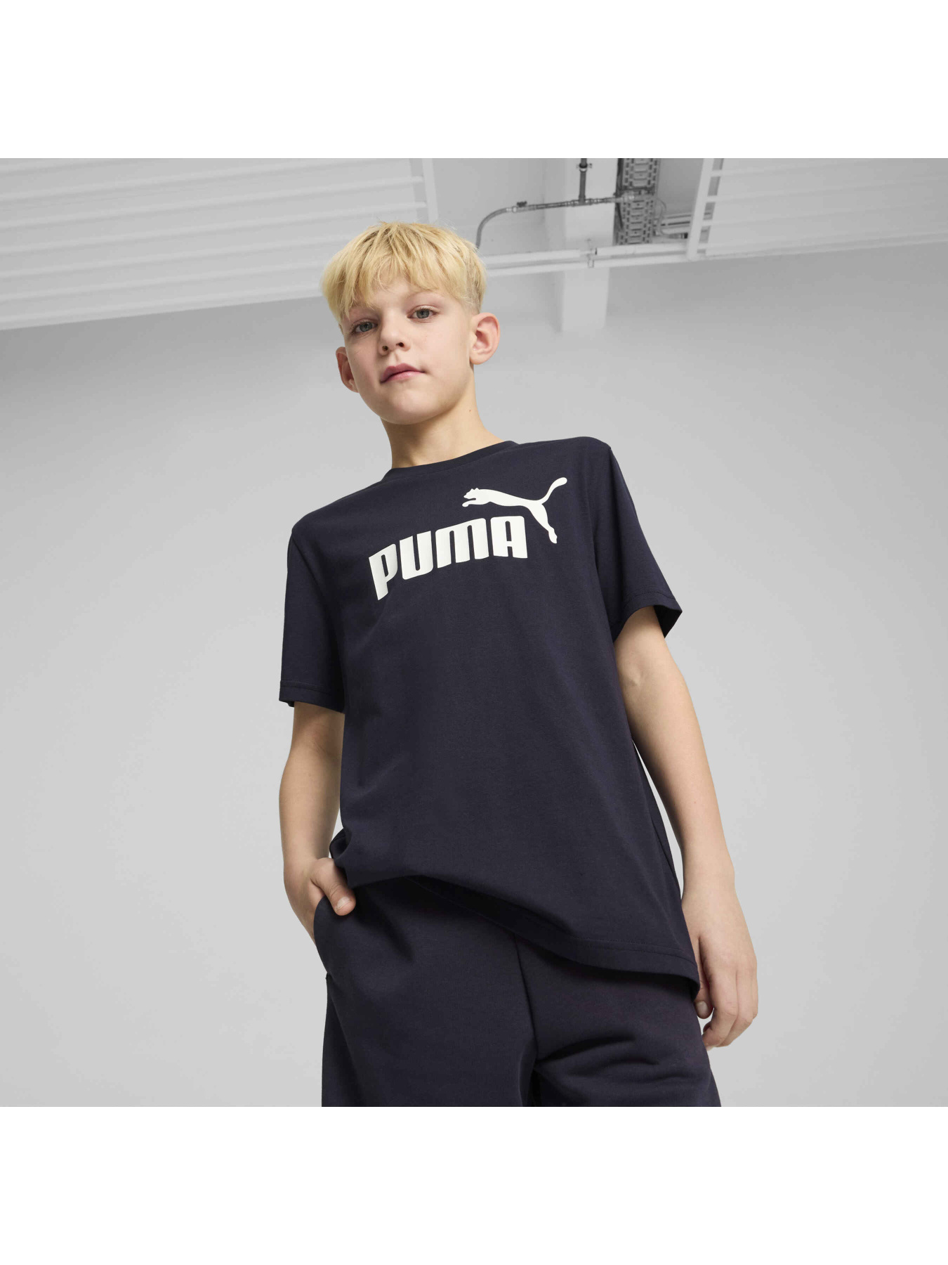 Футболка PUMA Ess No. 1 Logo Tee модель 684906 Фото