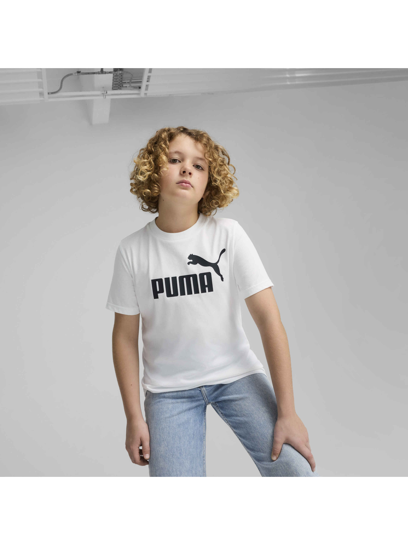 Футболка PUMA Ess No. 1 Logo Tee Модель 684906 Фото
