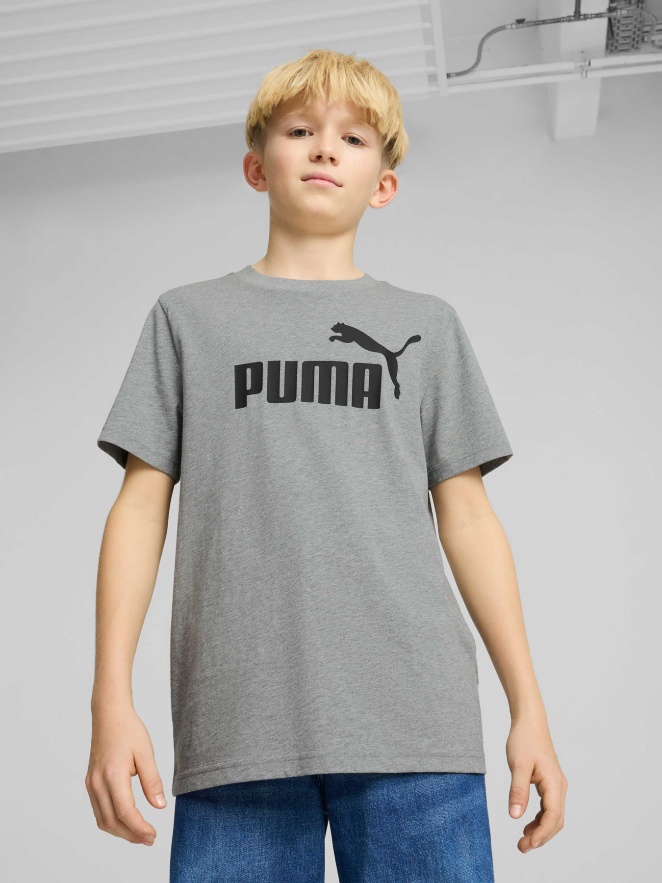 Футболка PUMA Ess No. 1 Logo Tee модель 684906 Фото