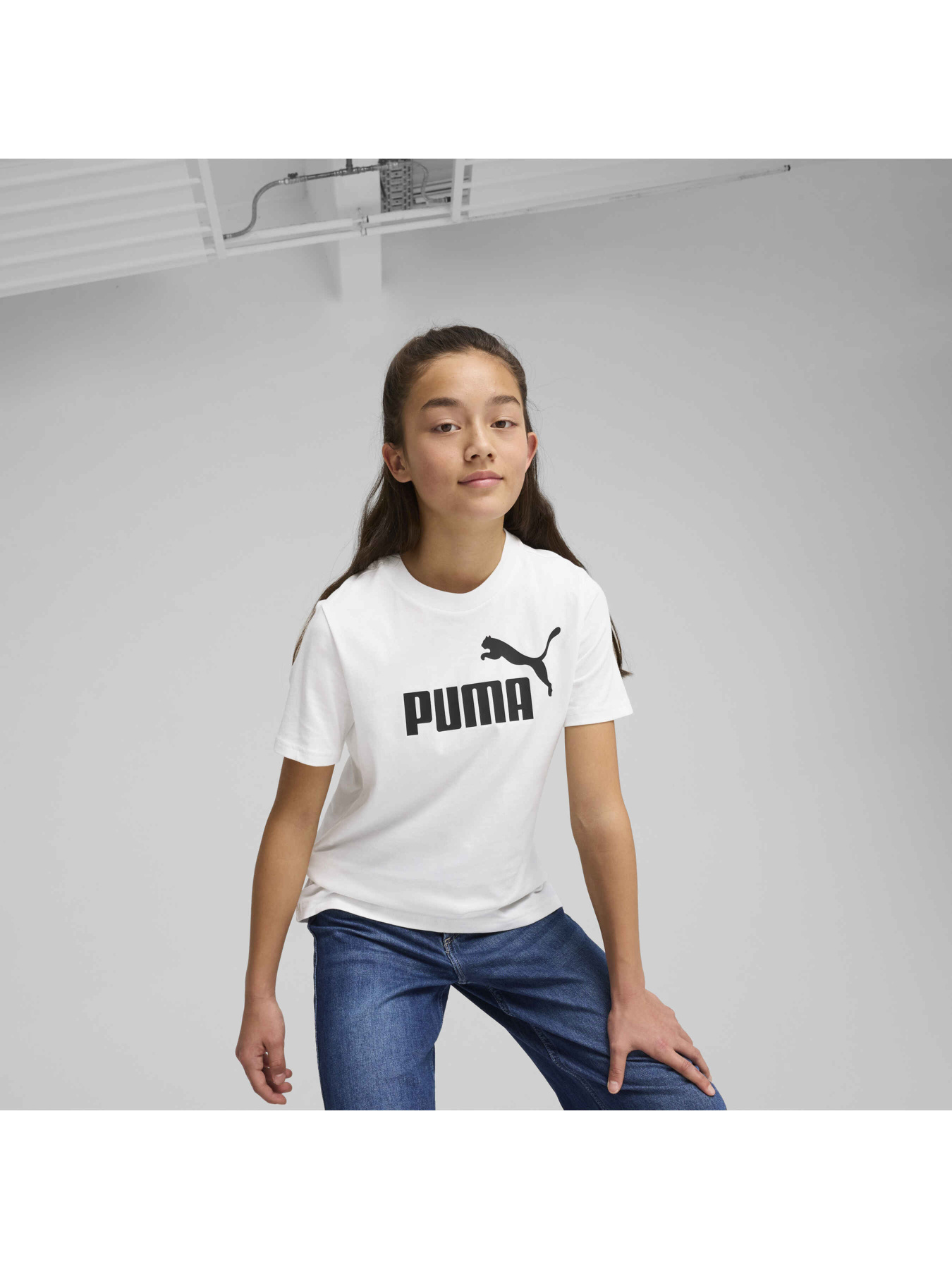 Футболка PUMA Ess No. 1 Logo Tee модель 684892 Фото