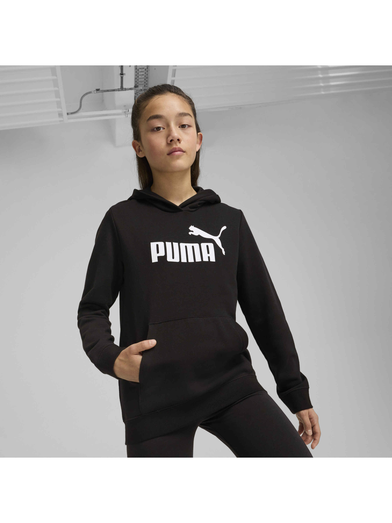 Худі PUMA Ess No. 1 Logo Hoodie модель 684897 Фото