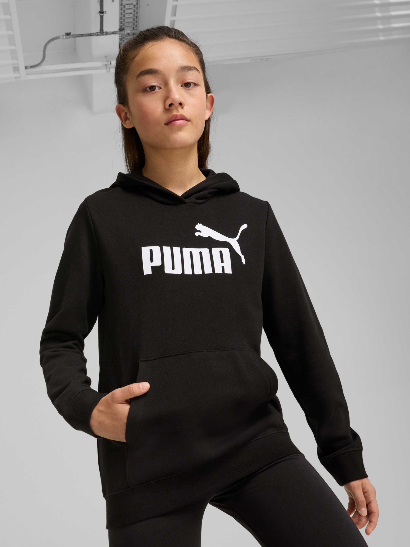 Худі PUMA Ess No. 1 Logo Hoodie модель 684897 Фото