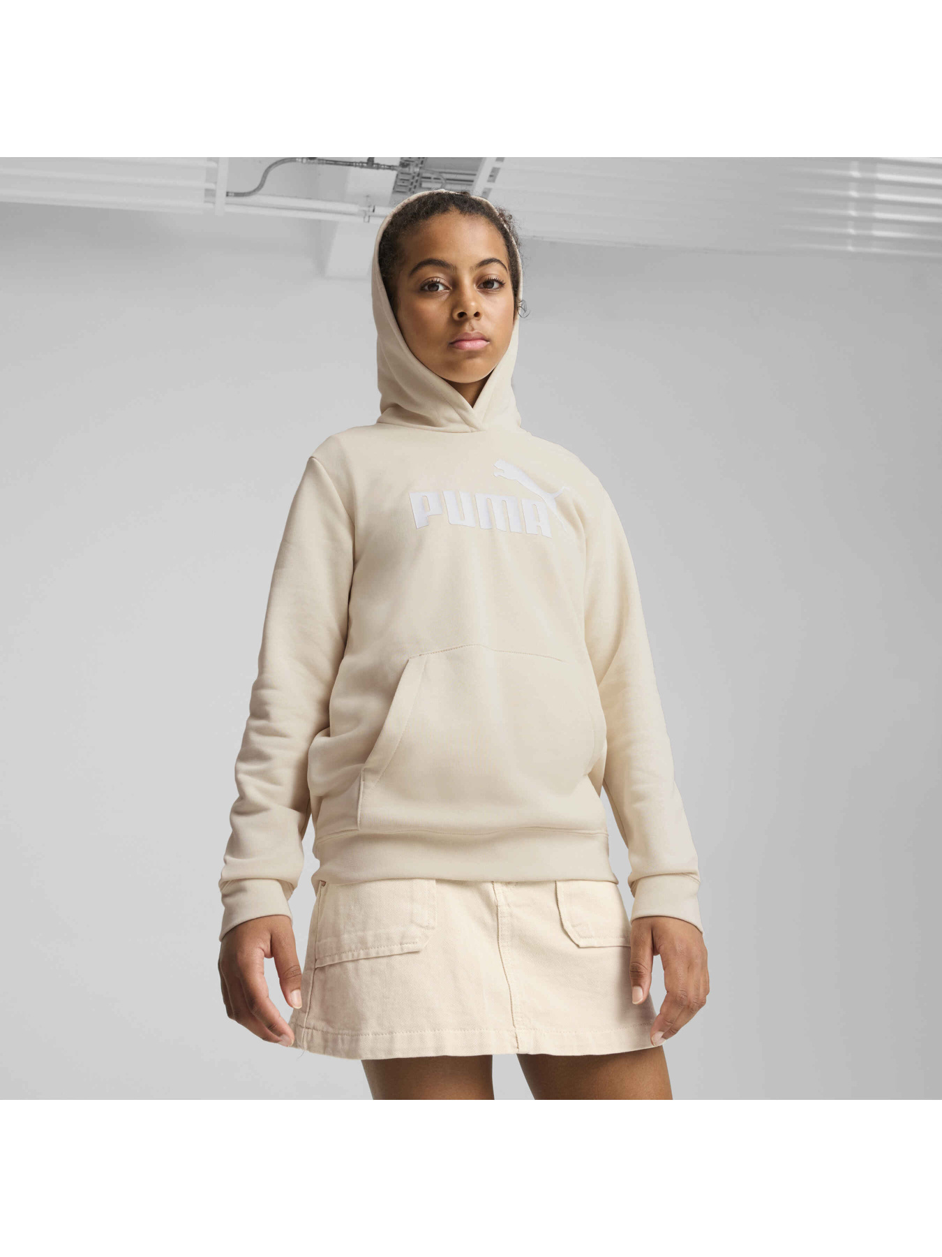 Худі PUMA Ess No. 1 Logo Hoodie модель 684897 Фото