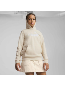 Худі PUMA Ess No. 1 Logo Hoodie модель 684897 Фото