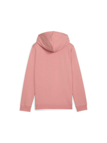 Худі PUMA Ess No. 1 Logo Hoodie модель 684897 Фото