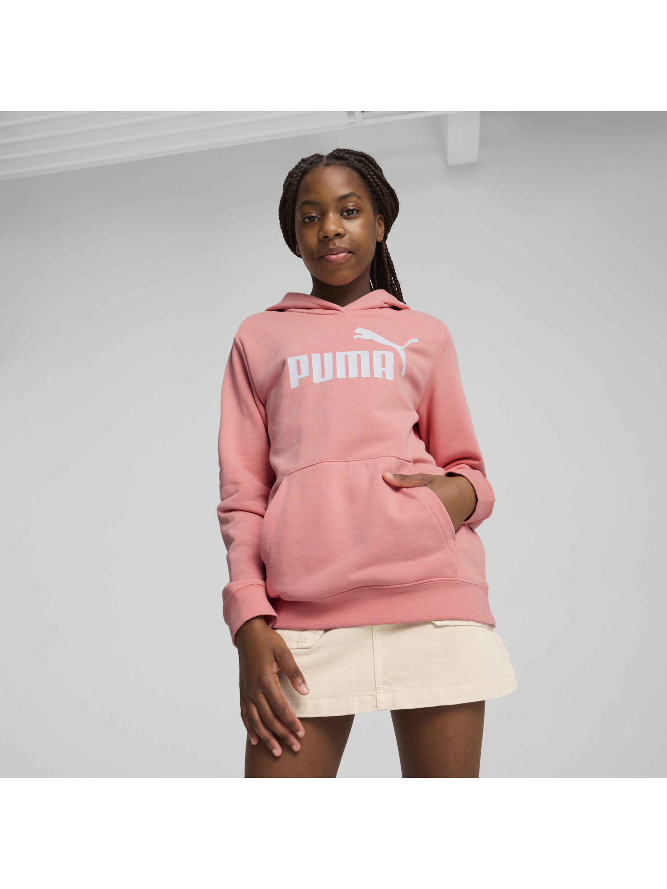 Худи PUMA Ess No. 1 Logo Hoodie модель 684897 Худи PUMA Ess No. 1 Logo Hoodie модель 684897 Фото