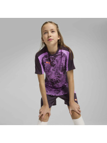 Футболка PUMA Individualblaze Jersey Jr модель 659903 Фото