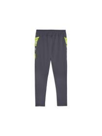 Штаны спортивные PUMA Individualcup Training Pants модель 659899 Фото