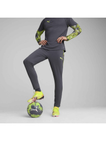 Штаны спортивные PUMA Individualcup Training Pants модель 659899 Штаны спортивные PUMA Individualcup Training Pants модель 659899 Фото