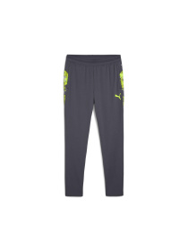 Штаны спортивные PUMA Individualcup Training Pants модель 659899 Фото