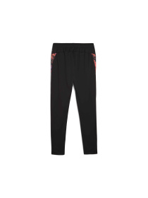 Штаны спортивные PUMA Individualcup Training Pants модель 659899 Фото