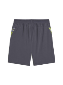 Спортивні шорти PUMA Individualcup Shorts модель 659897 Фото
