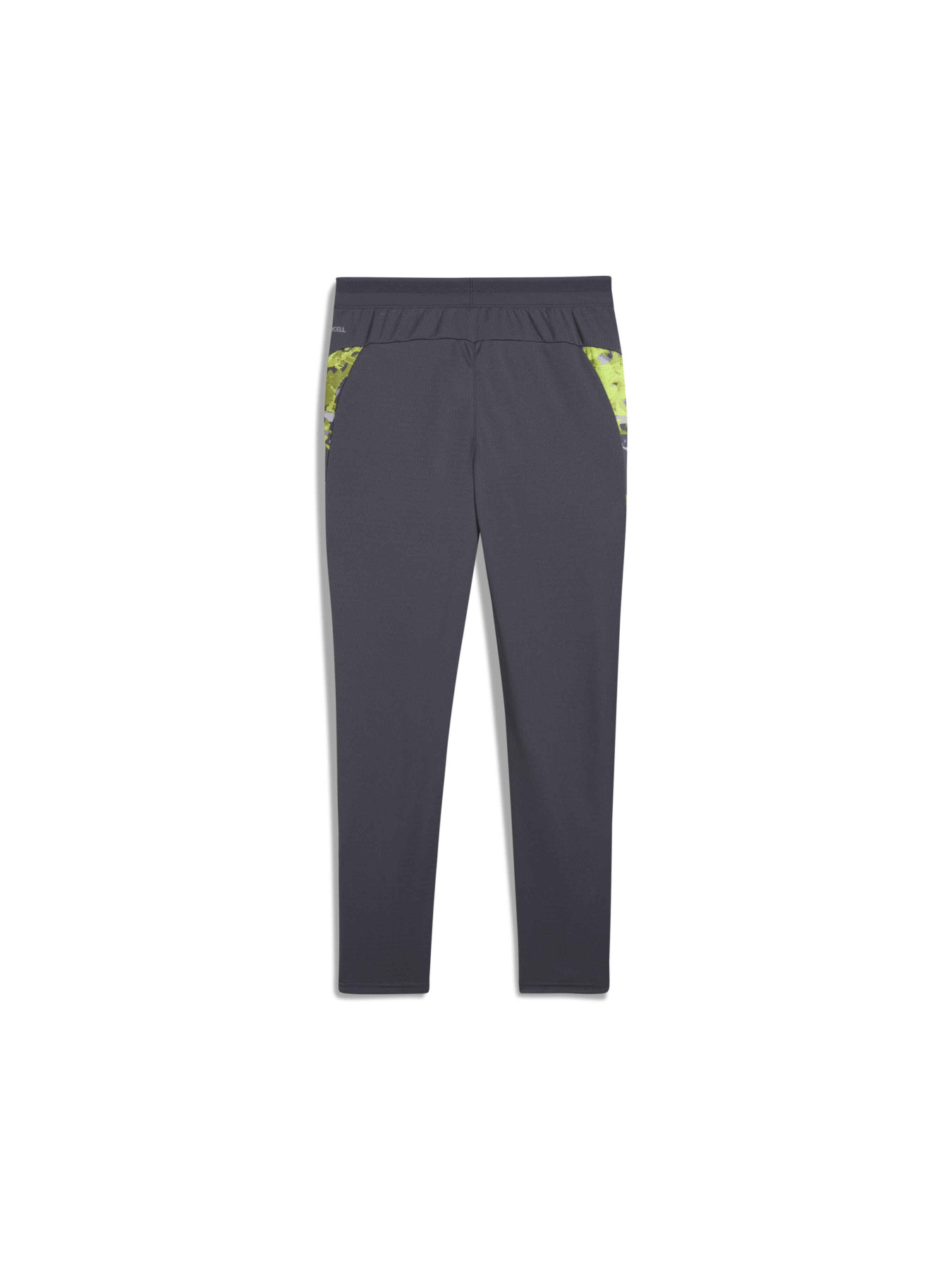 Спортивні штани PUMA Individualcup Trg Pants Jr модель 659901 Фото