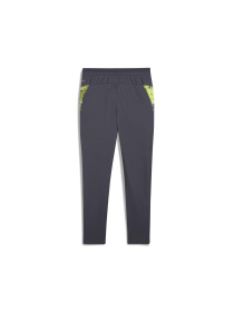 Спортивні штани PUMA Individualcup Trg Pants Jr модель 659901 Фото