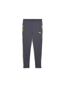 Штаны спортивные PUMA Individualcup Trg Pants Jr модель 659901 Фото