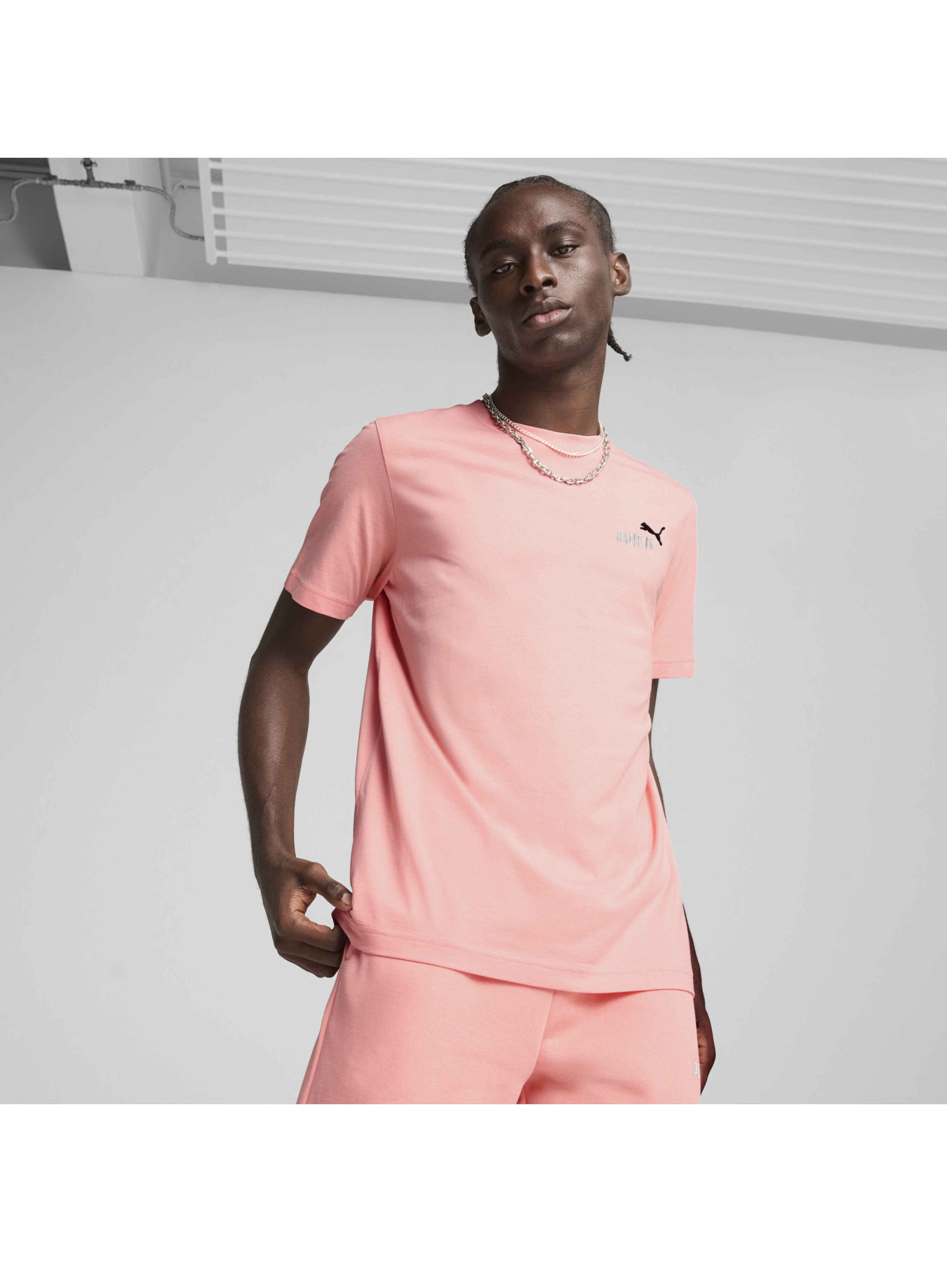 Футболка PUMA Ess 2 Color Small Logo Tee модель 684717 Фото