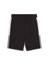 Спортивні шорти PUMA Ess Block Shorts модель 684690 Спортивні шорти PUMA Ess Block Shorts модель 684690 Фото