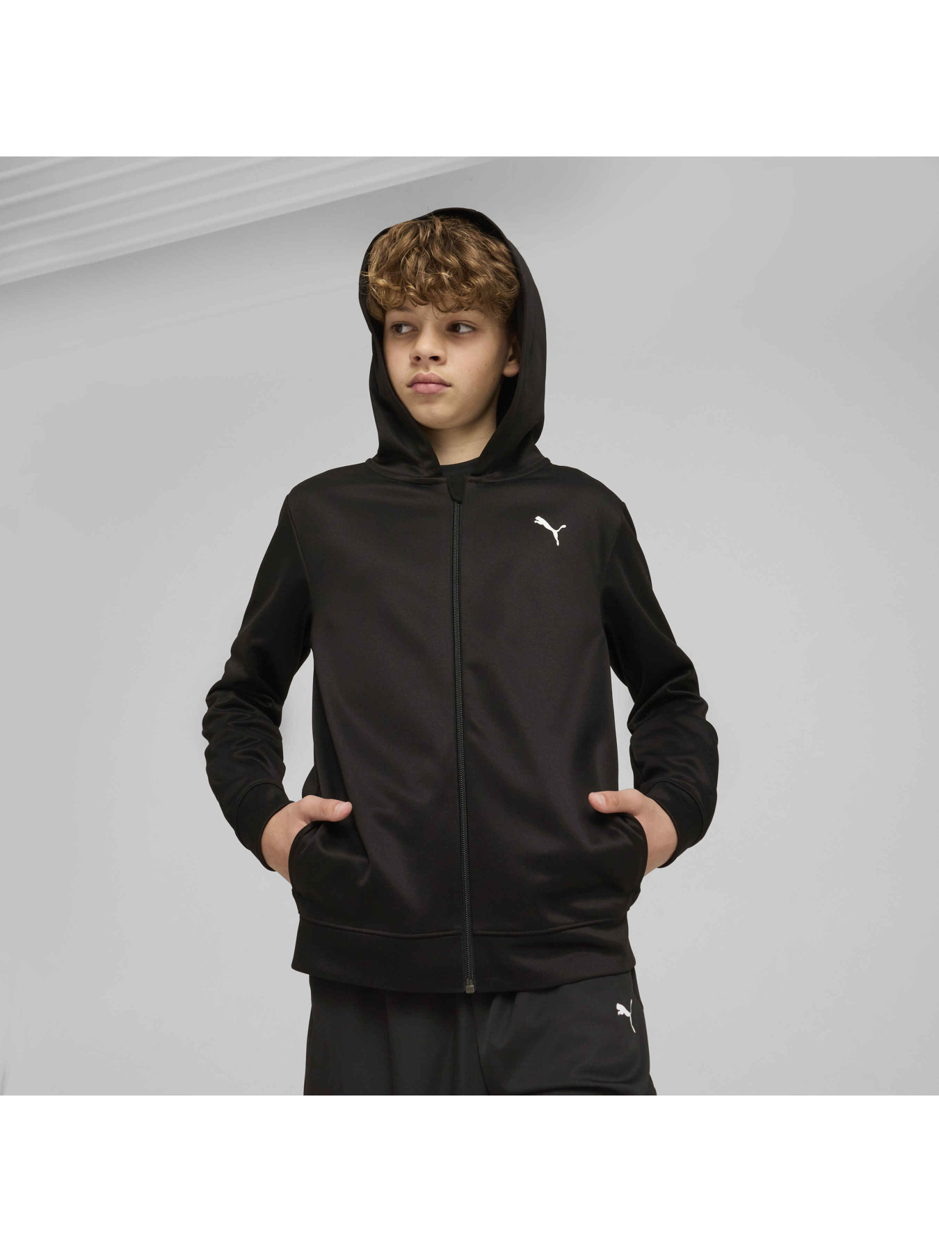 Спортивная кофта PUMA Tad Ess Full Zip Jacket модель 526535 Фото