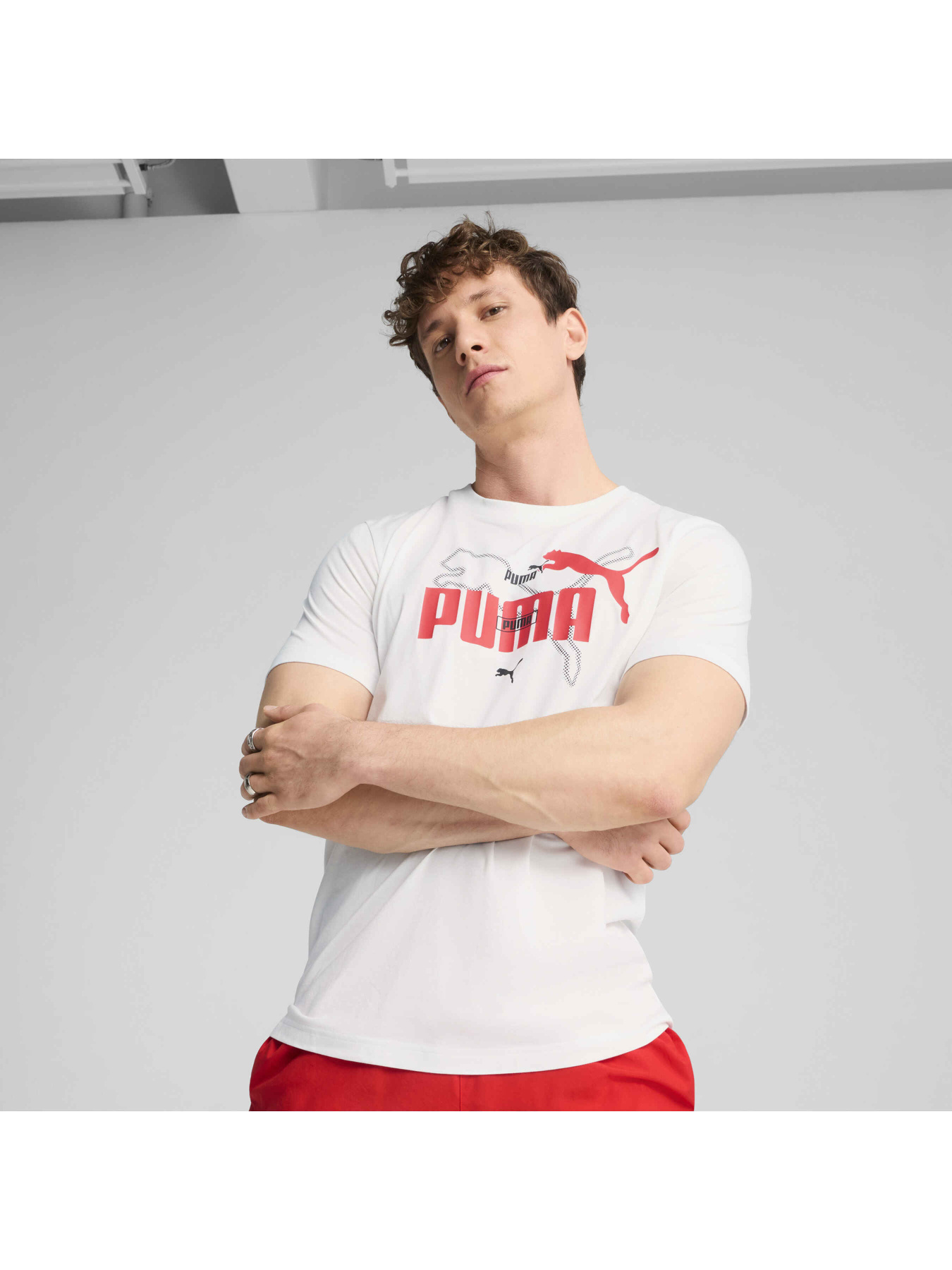Футболка PUMA Ess Logo Lab Summer Tee модель 684671 Фото