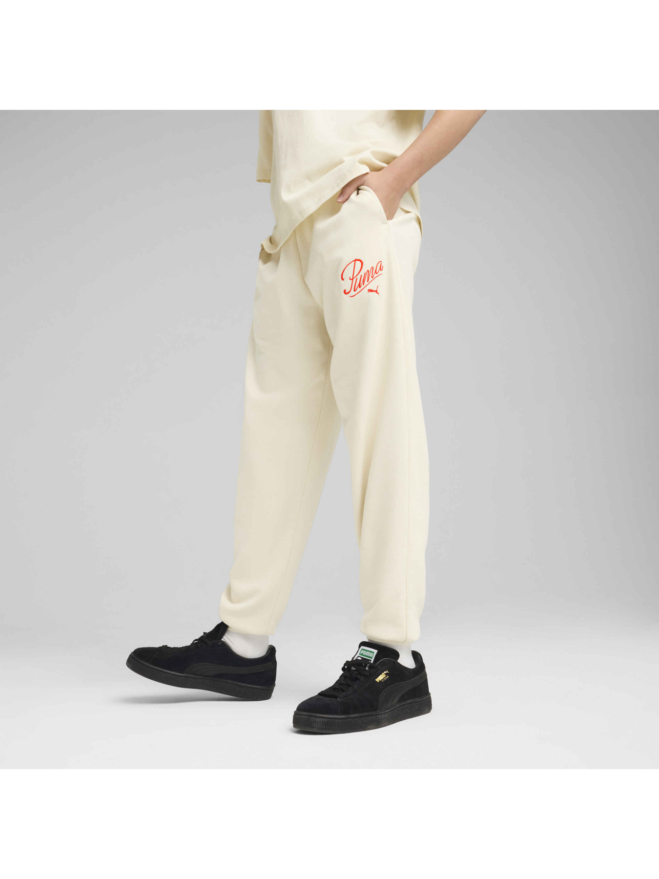 Штаны спортивные PUMA Ess Script Sweatpants модель 685807 Фото