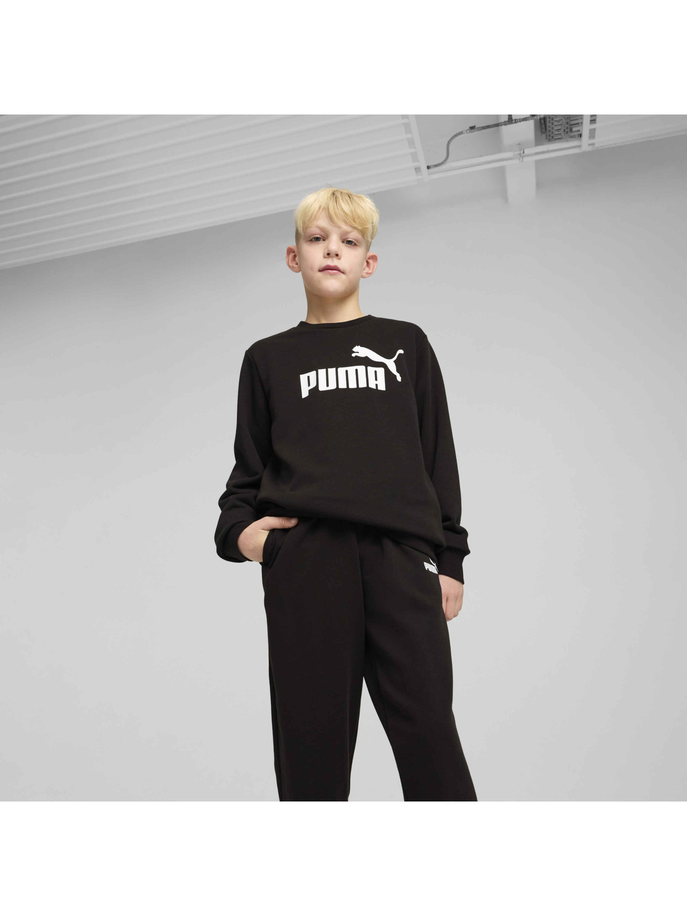 Спортивний костюм PUMA Ess Logo Crew Sweat Suit Tr модель 686296 Фото