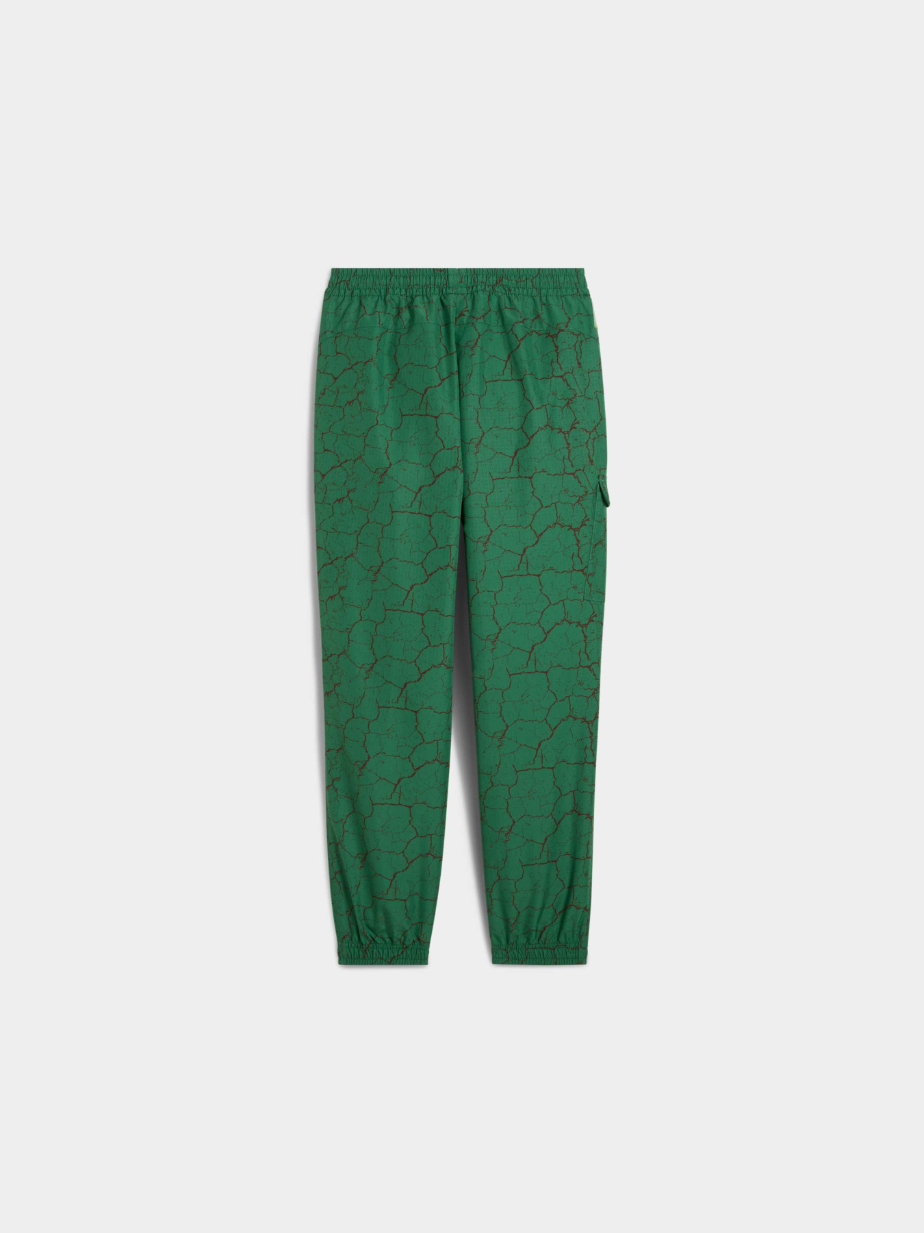 Штаны спортивные PUMA x Tmnt Cargo Pants модель 630088 Фото