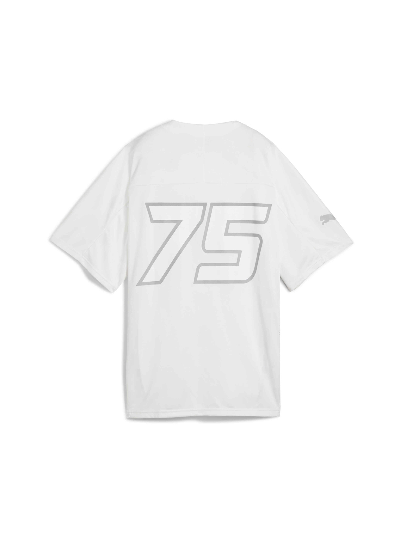 Футболка PUMA F1 Jer-she Tee модель 630760 Фото