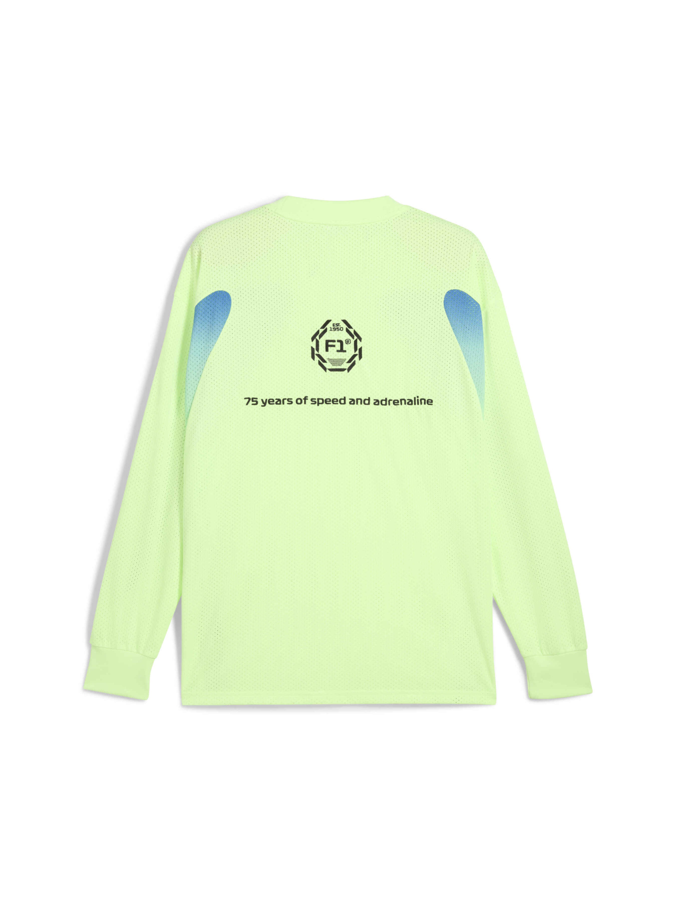 Свитшот PUMA F1 Oversized Ls Tee модель 631642 Фото