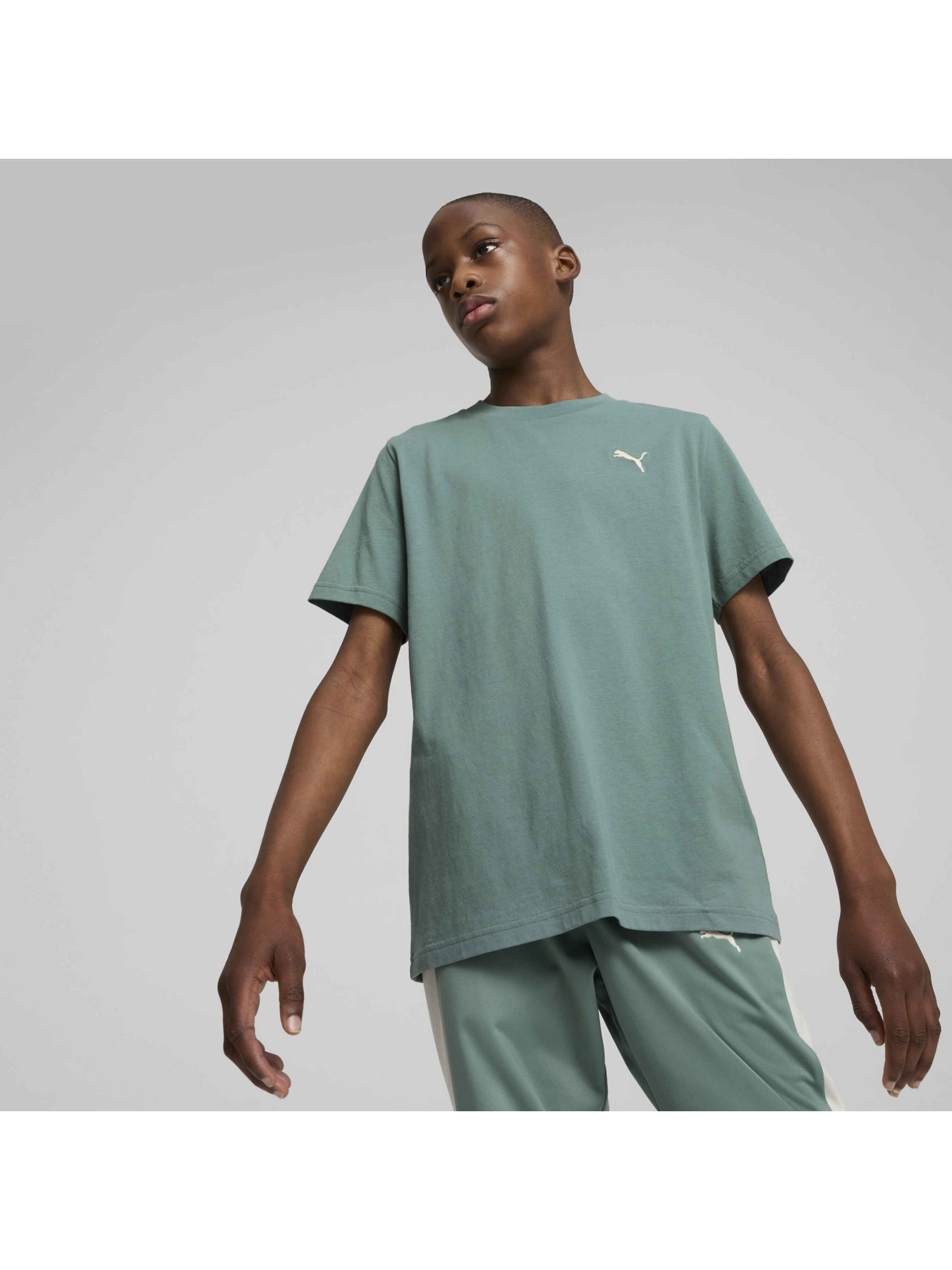 Футболка PUMA Wardrobe Ess Tee модель 629877 Фото