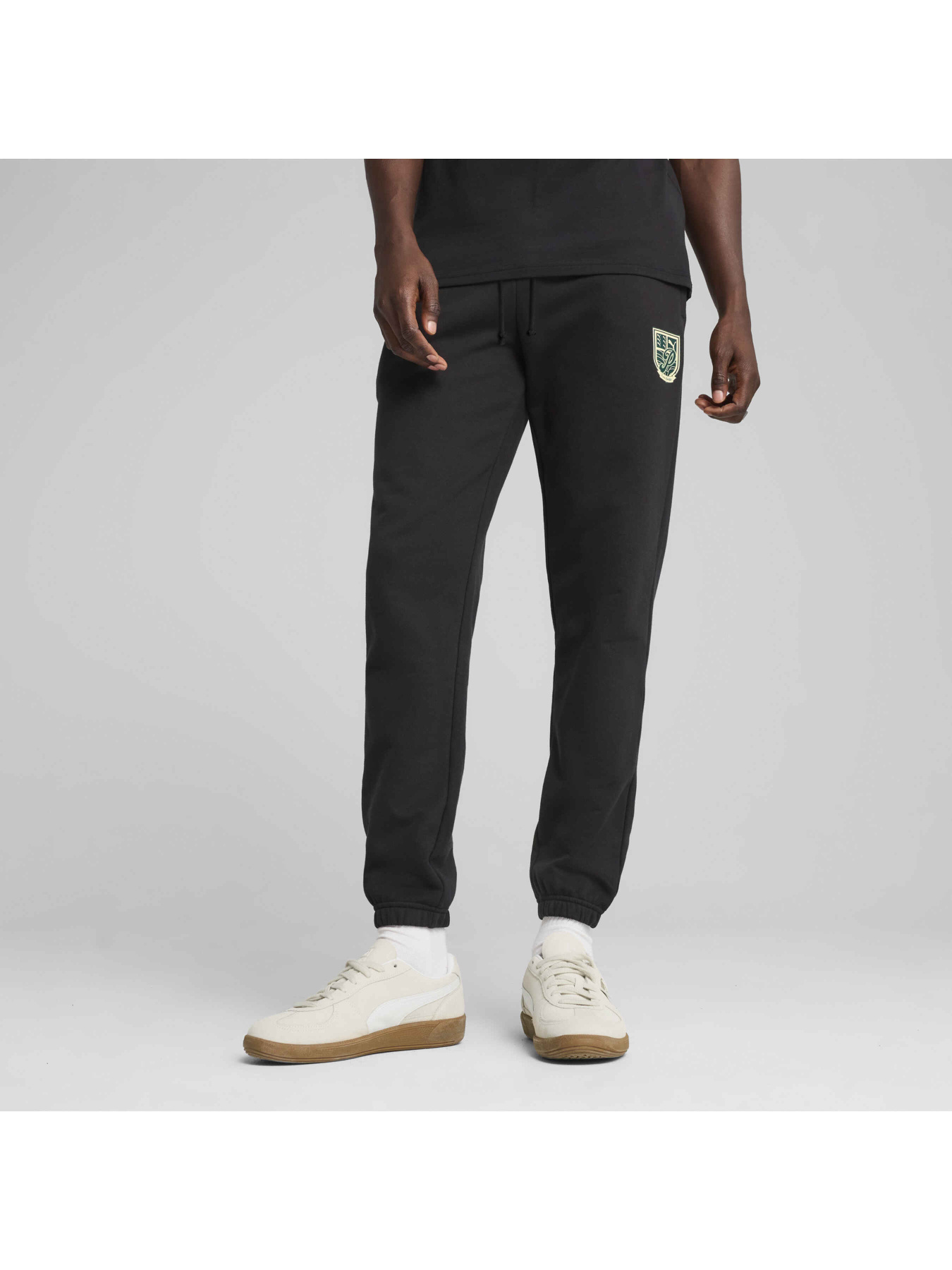 Штани спортивні PUMA Wardrobe Ess Graphic Pants модель 629631 Фото