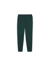 Штаны спортивные PUMA Wardrobe Ess Graphic Pants модель 629631 Фото