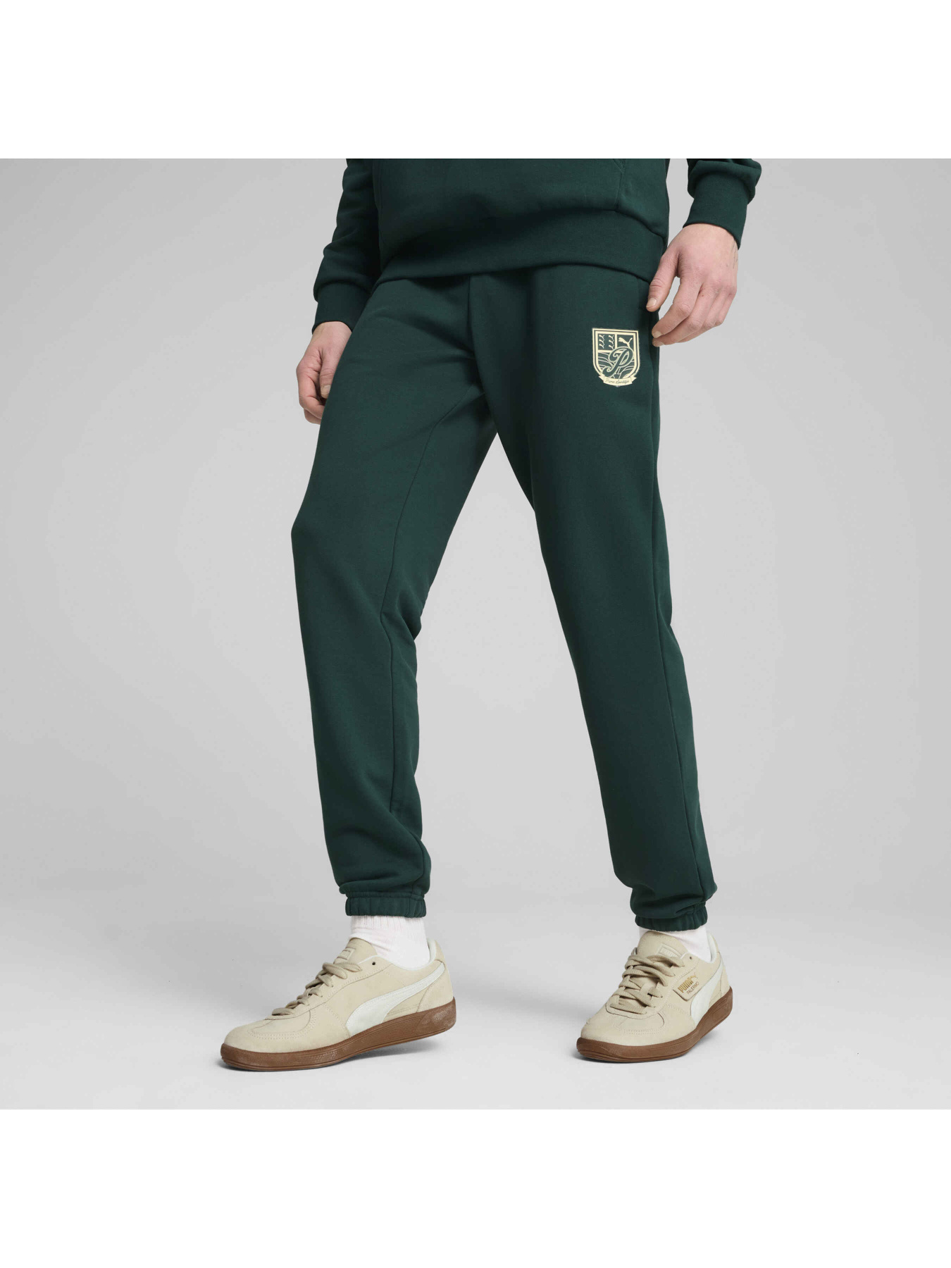 Штаны спортивные PUMA Wardrobe Ess Graphic Pants модель 629631 Фото