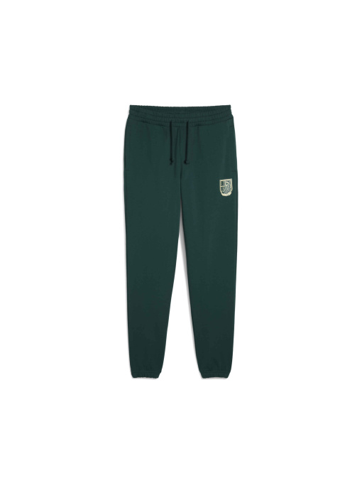 Спортивні штани PUMA Wardrobe Ess Graphic Pants модель 629631 Фото