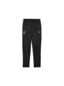 Штани спортивні PUMA Neymar Jr Creativity Trainin модель 660090 Фото