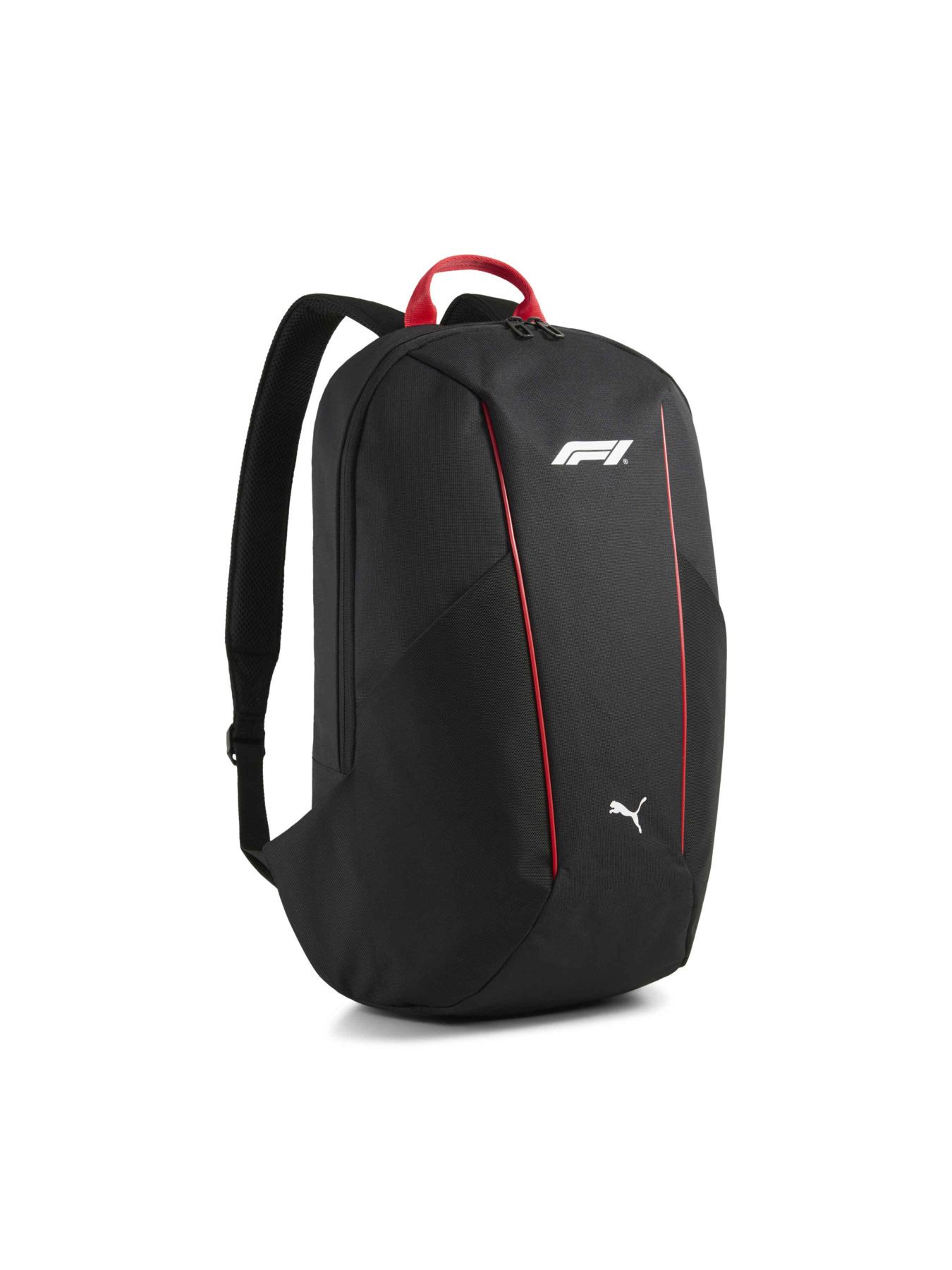 Рюкзак PUMA F1 Large Backpack модель 091268 Фото