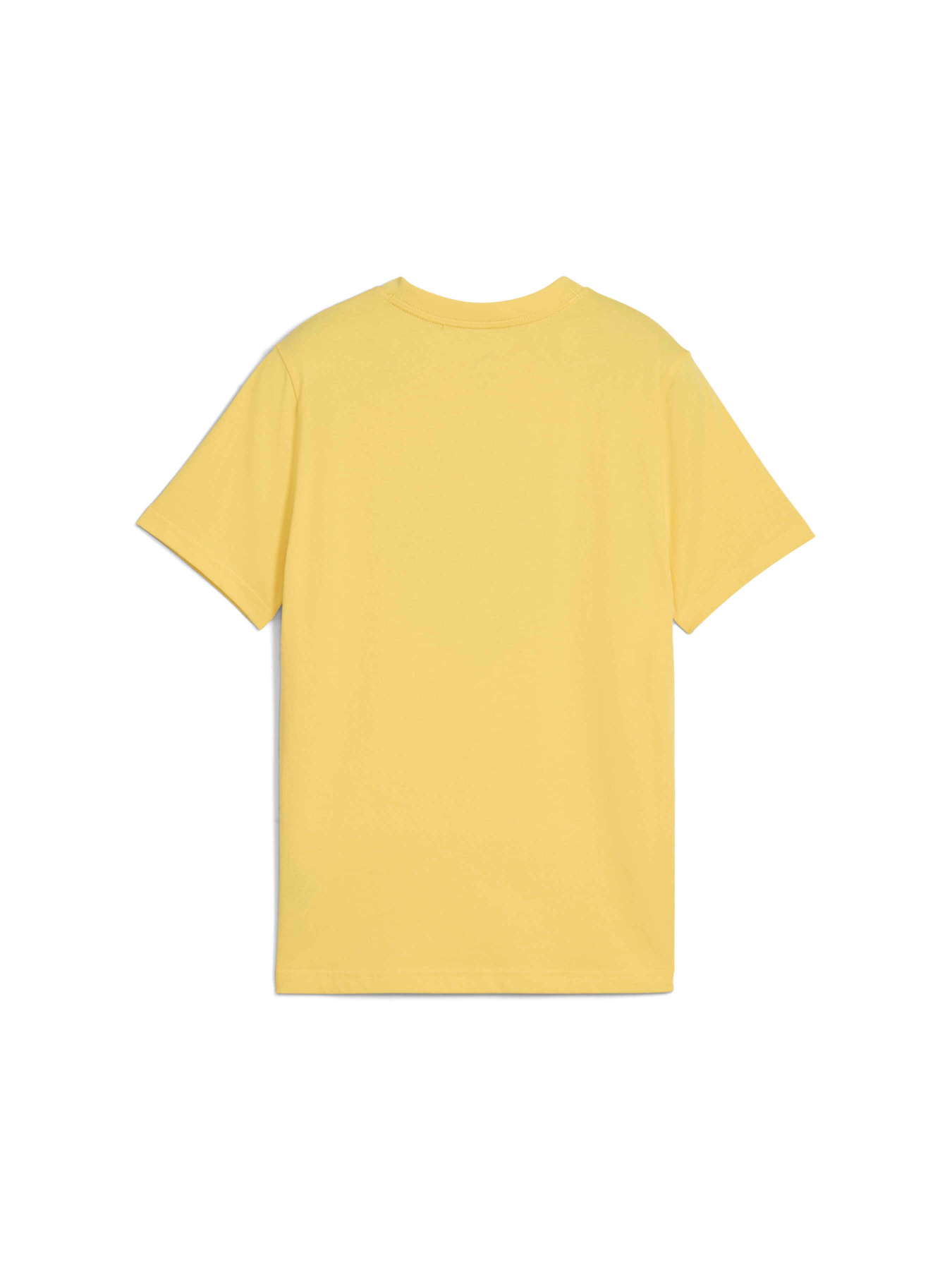 Футболка PUMA Basketball Posterize Tee I модель 630822 Фото