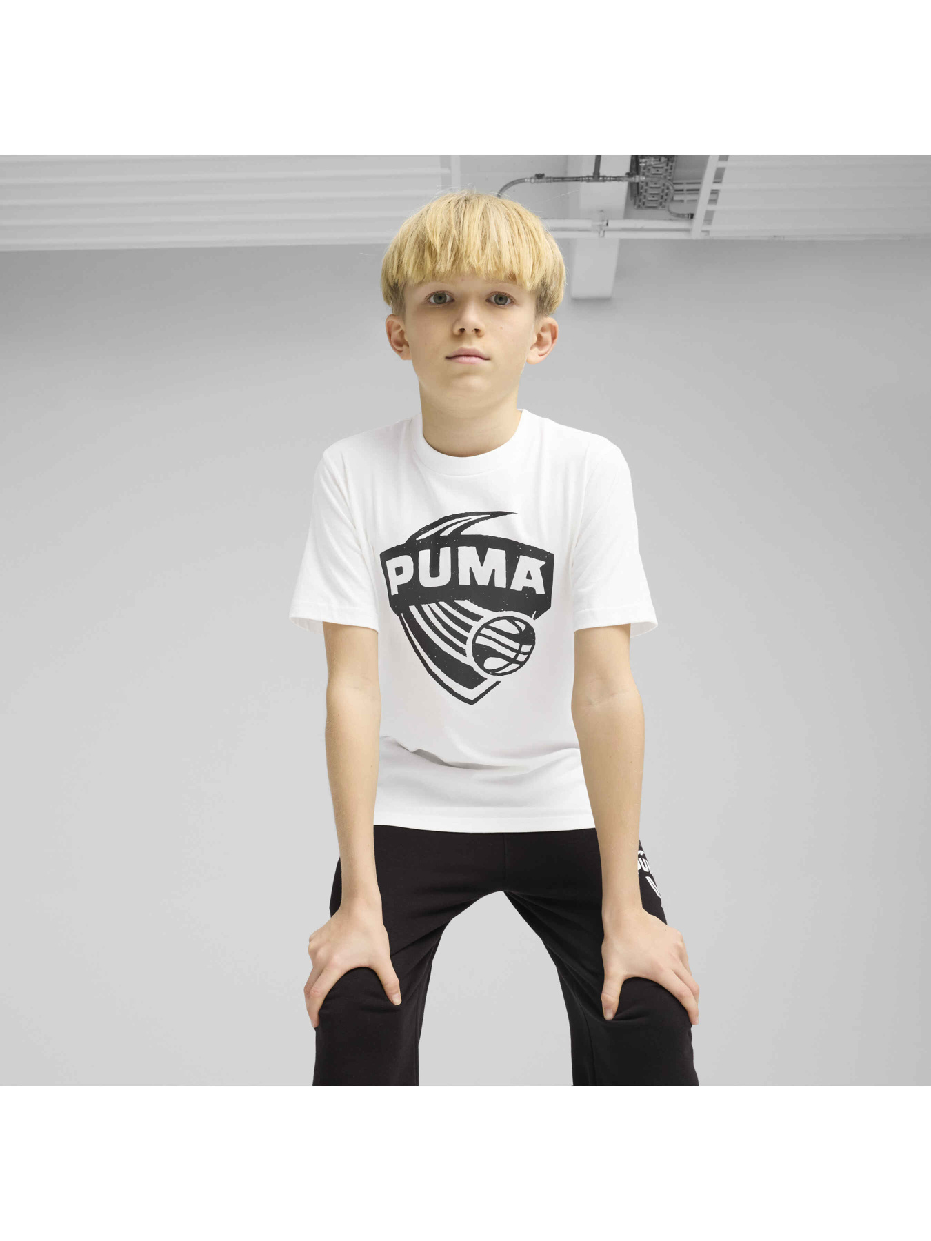 Футболка PUMA Basketball Posterize Tee I модель 630822 Фото