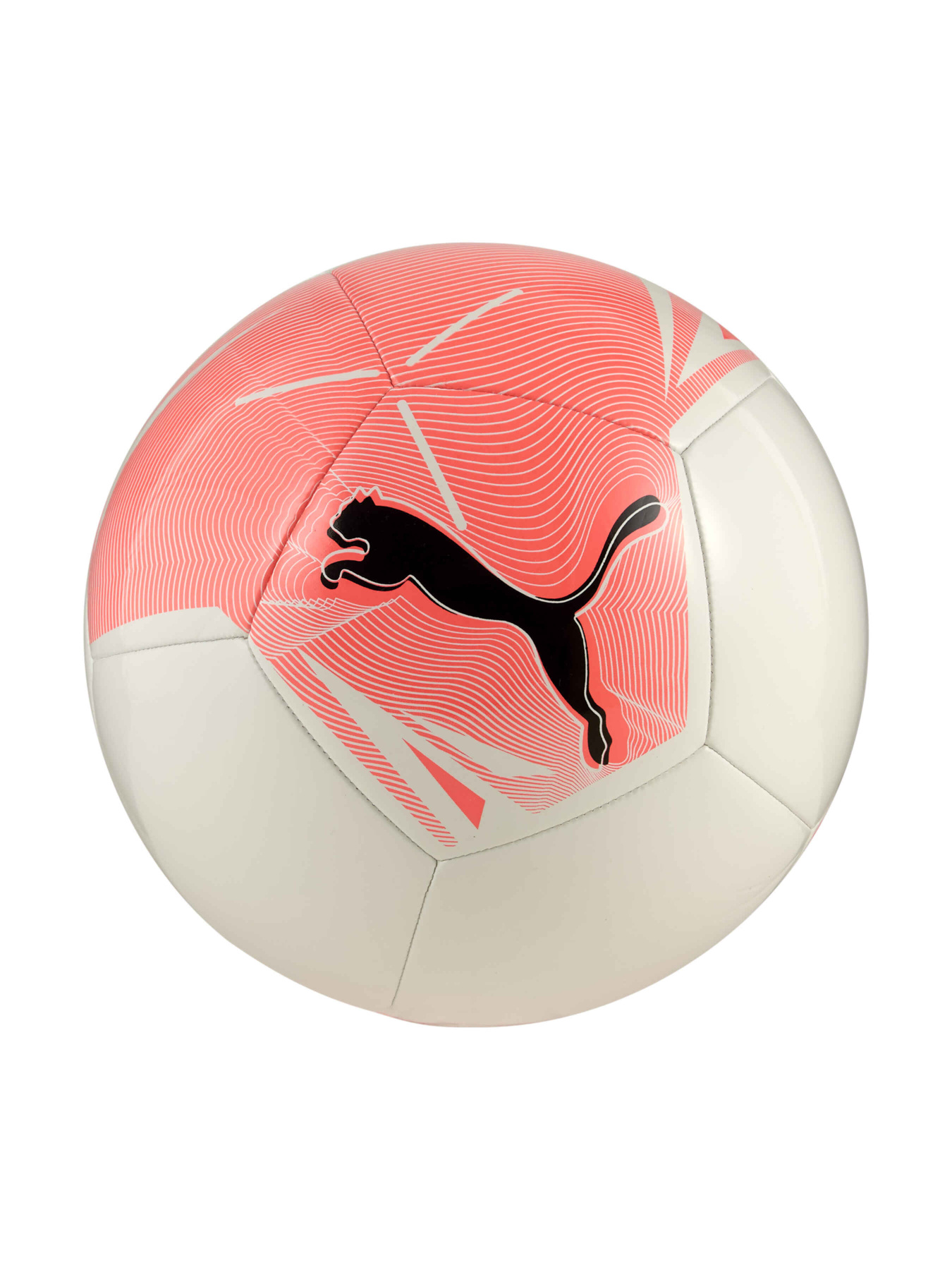 М'ячі PUMA Big Cat Ball модель 084589 Фото