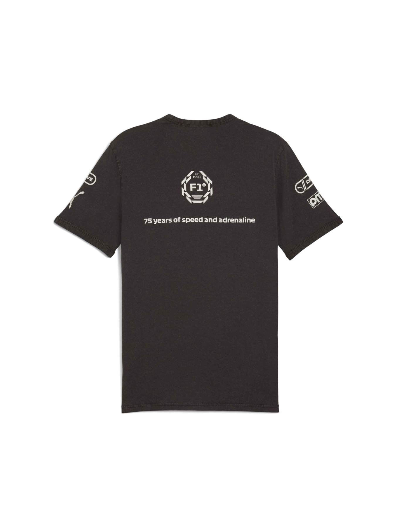 Футболка PUMA F1 Graphic Ringer Tee модель 631641 Фото