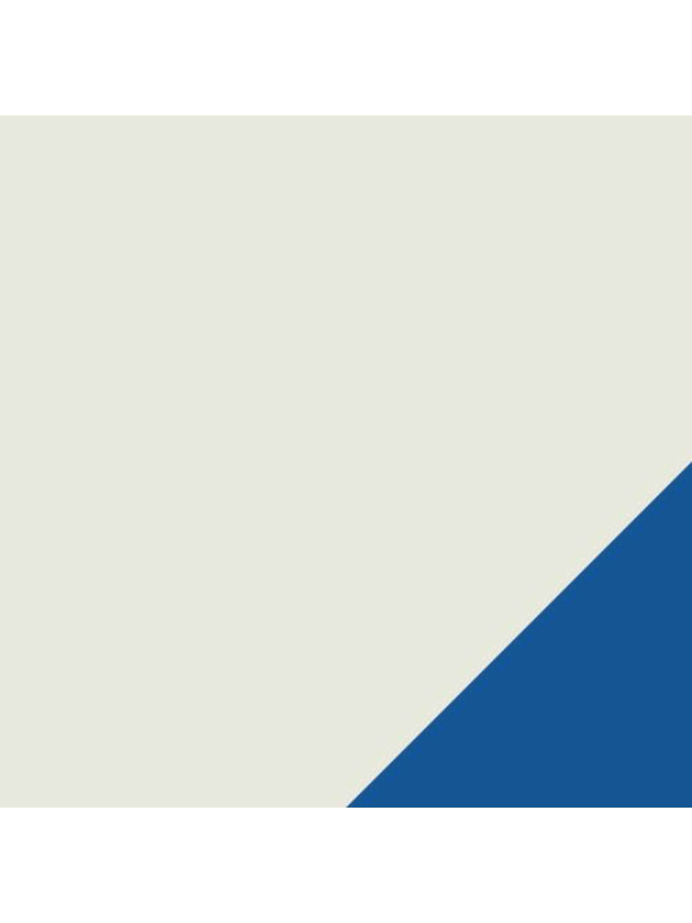 Мячи PUMA Prestige Ball модель 084585 Фото