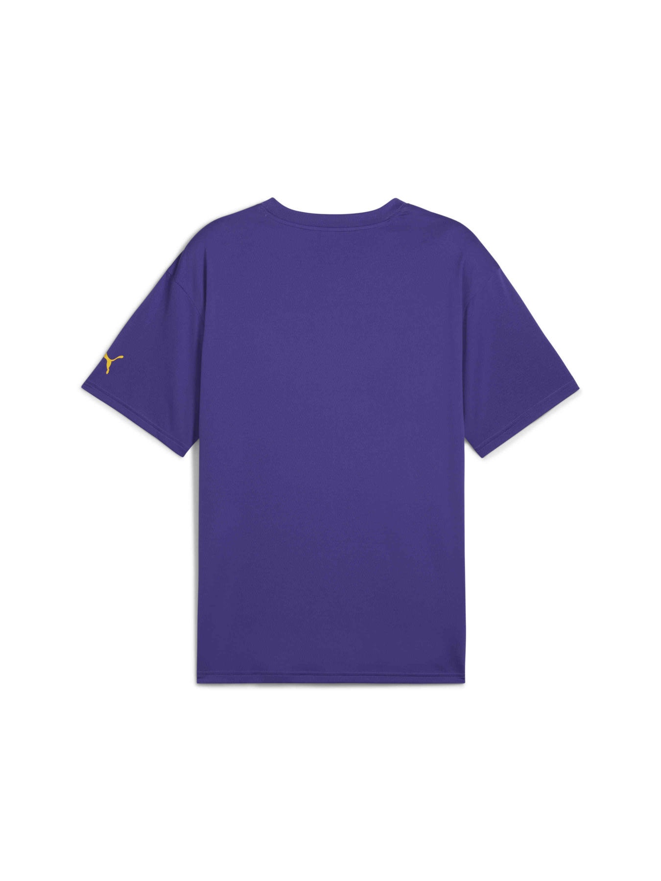 Футболка PUMA Rival Rage Tee 2 модель 685442 Фото