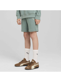 Шорты спортивные PUMA Wardrobe Ess Relaxed Shorts модель 629881 Фото