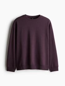 Світшот H&M модель 74756 Фото