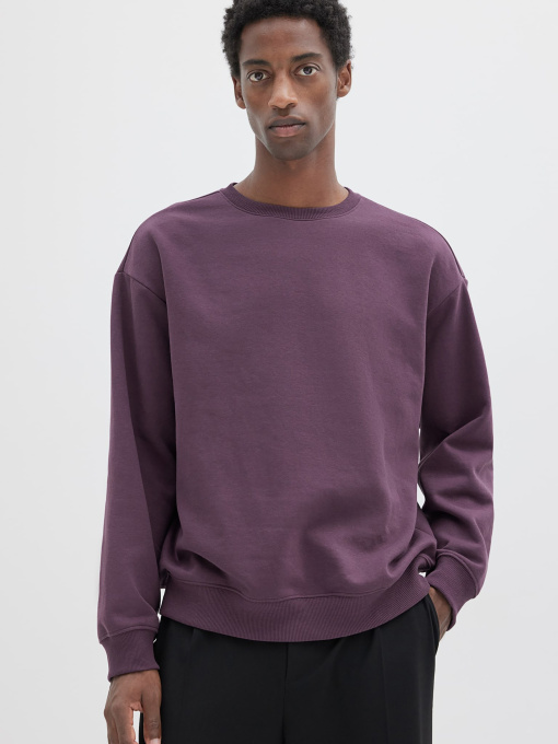 Свитшот H&M модель 74756 Фото