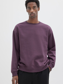 Свитшот H&M модель 74756 Свитшот H&M модель 74756 Фото