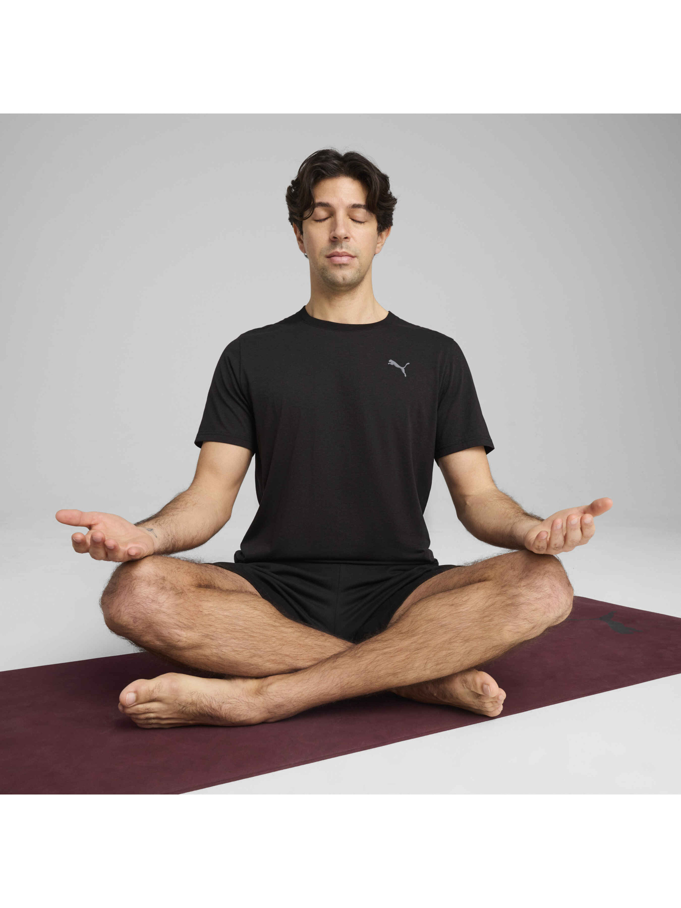 Футболка PUMA Move Triblend Tee модель 526945 Фото