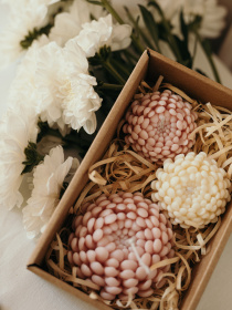 Набор свечей "Хризантемы" от "Candle Design" натуральный оливковый воск, 3 шт. Candle Design модель 200.0005 Фото