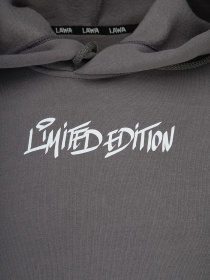 Худи LAWA модель 2000990917836 Фото