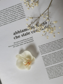 Аромасаше "Квітка орхідеї", аромат - Орхідея та морська сіль, з натурального оливкового воску Candle Design модель 160.3004 Аромасаше "Квітка орхідеї", аромат - Орхідея та морська сіль, з натурального оливкового воску Candle Design модель 160.3004 Фото